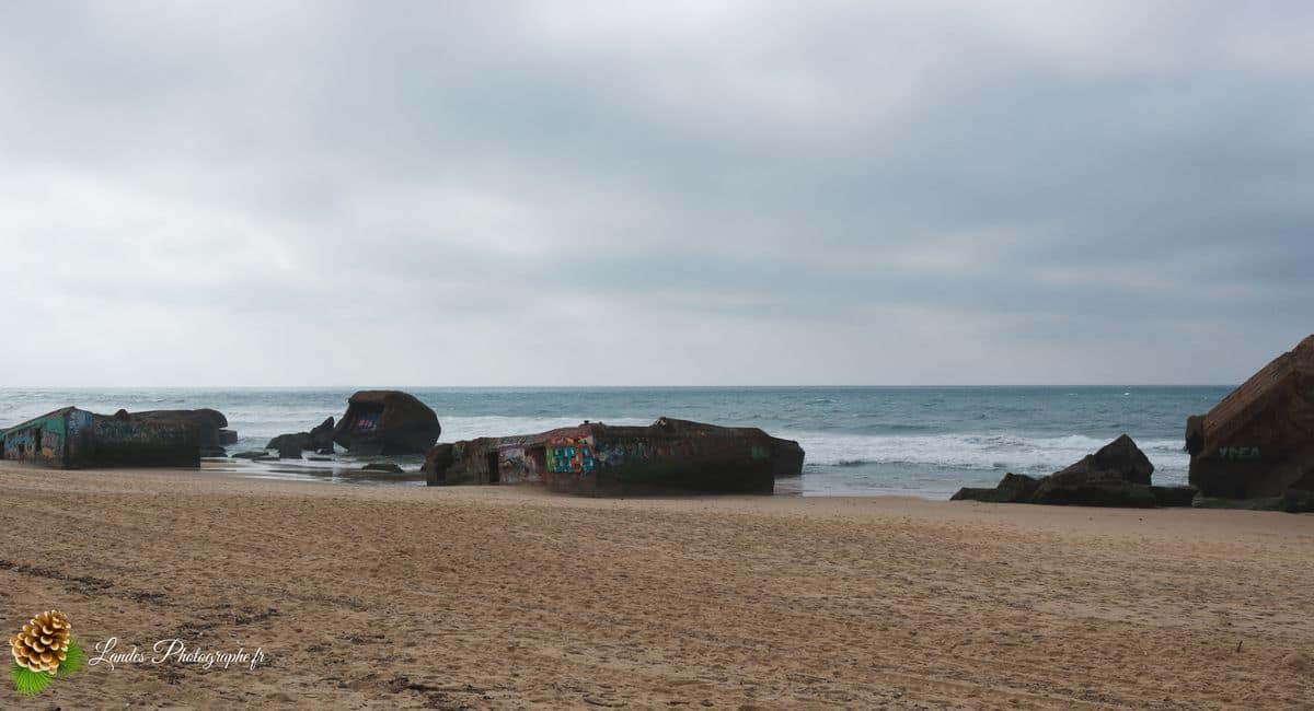 đ Instants OcĂ©aniques : Capbreton et la Plage du Santocha Capbreton