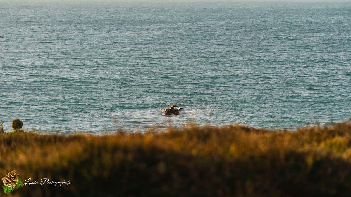đ Plage de Trez Rouz Ă Camaret-sur-Mer Plage de Trez Rouz Ă Camaret sur Mer