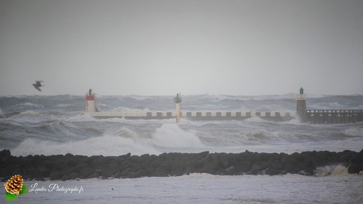 đȘïž La TempĂȘte Benjamin Ă Capbreton TempĂȘte Benjamin Ă Capbreton