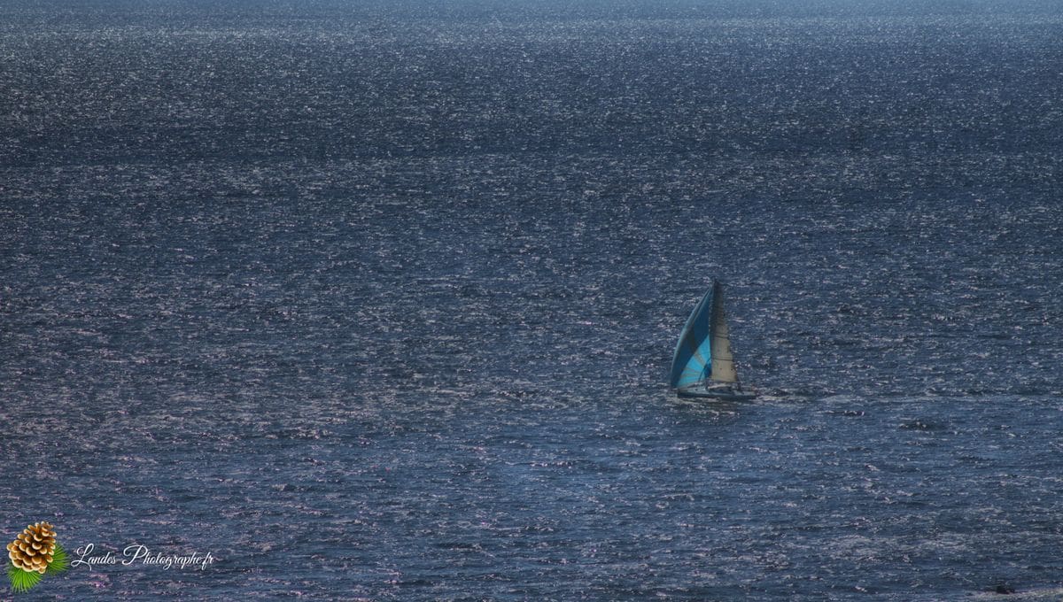 đź’ˇ La Pointe du Toulinguet et son phare Pointe du Toulinguet