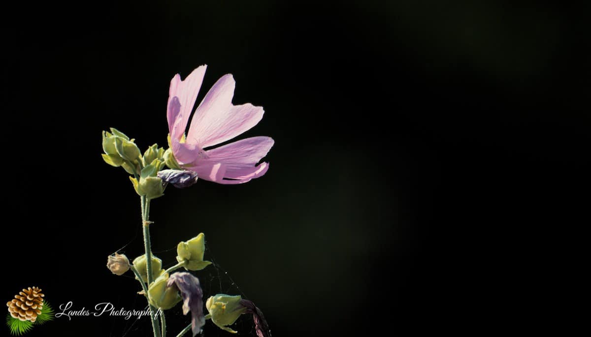 🏞️ le Belaïa (ou Aghidel) : Beauté Naturelle en Bachkirie Belaïa