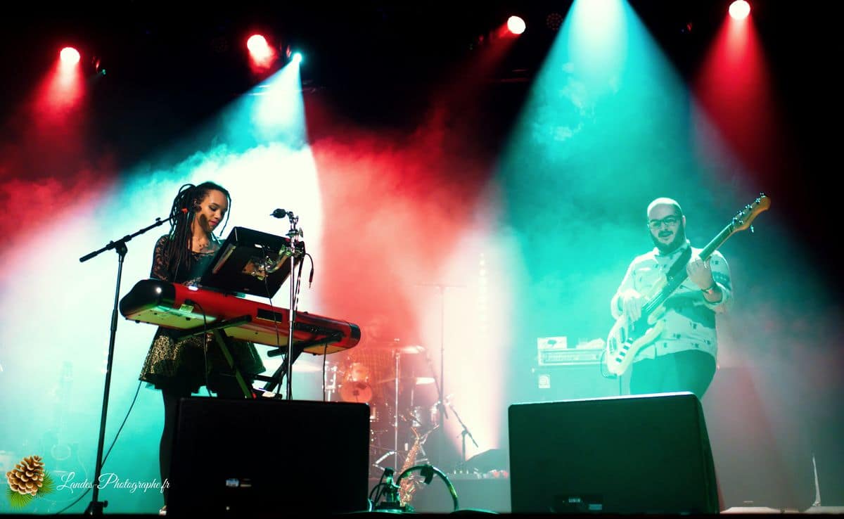 🎸 Fusion Énergique : The Skints à la Salle Bellegrave de Pessac The skints en concert a la Salle Bellegrave de Pessac