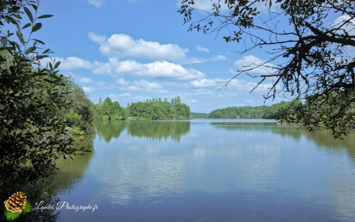 🌲 Au Cœur des Landes : la Réserve Naturelle de l’Étang Noir La Réserve Naturelle de l’Étang Noir à Seignosse
