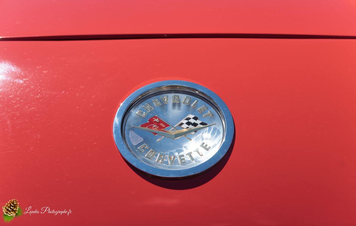 🇺🇸 8ème Édition de l'American Crazy Week à Seignosse 8ème édition American Crazy Week