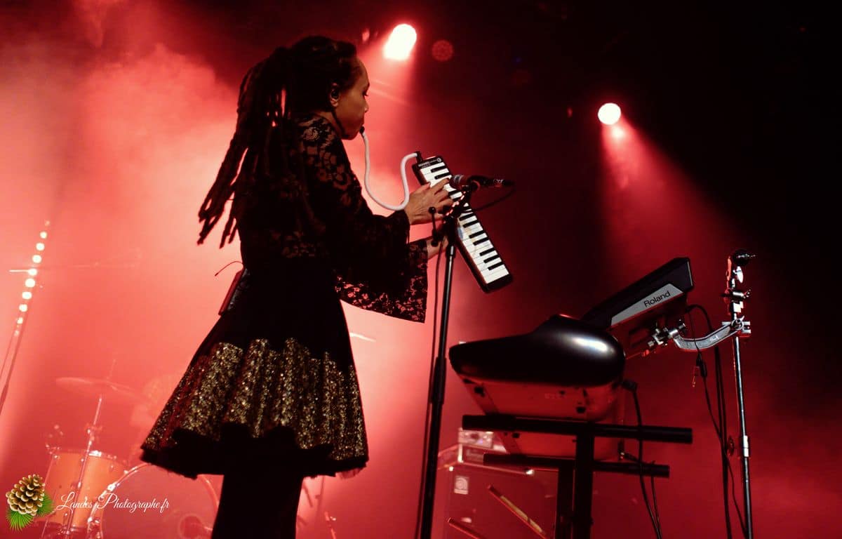 🎸 Fusion Énergique : The Skints à la Salle Bellegrave de Pessac The skints en concert a la Salle Bellegrave de Pessac