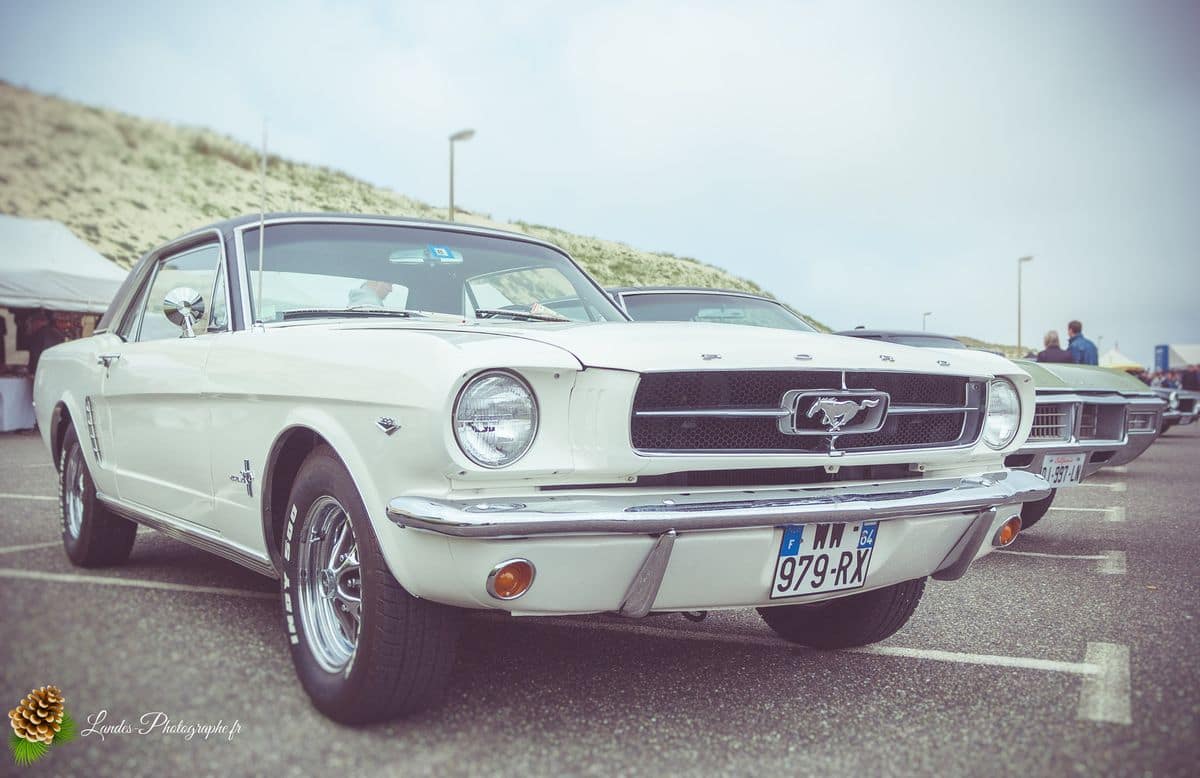 🔥 Retour sur l'American Crazy Week : La 7ème Édition à Seignosse-le-Penon 7ème édition de l’American Crazy Week à Seignosse-le-Penon