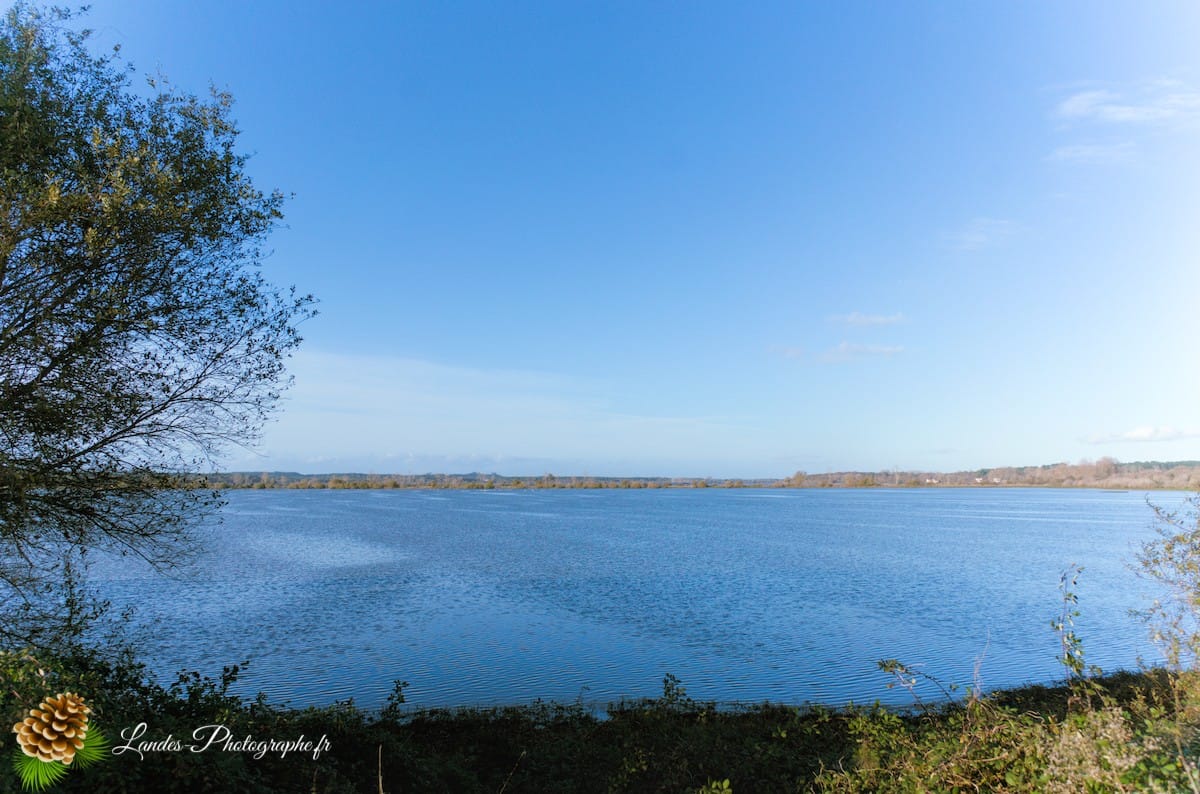 🦆 La Réserve Naturelle du Marais d'Orx : Le Trésor Humide du Sud des Landes Réserve Naturelle du Marais d