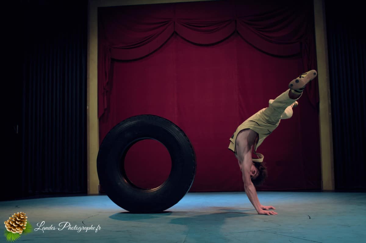 🎪 Les Arts du Cirque à Bordeaux : Le Palais Nibo et ses Pensionnaires Le Palais Nibo et ses pensionnaires