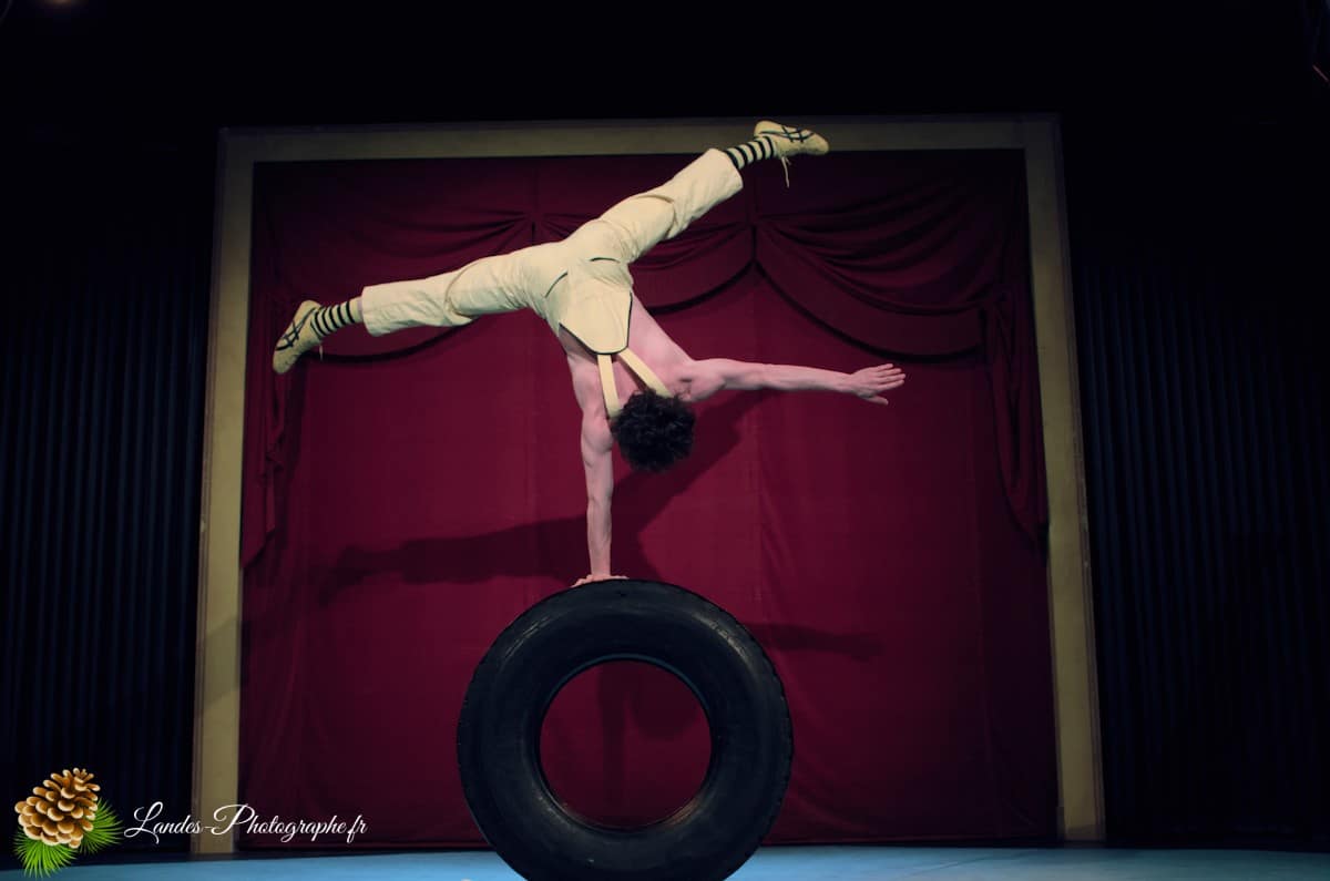 🎪 Les Arts du Cirque à Bordeaux : Le Palais Nibo et ses Pensionnaires Le Palais Nibo et ses pensionnaires