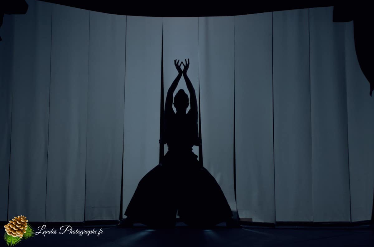 🎪 Les Arts du Cirque à Bordeaux : Le Palais Nibo et ses Pensionnaires Le Palais Nibo et ses pensionnaires