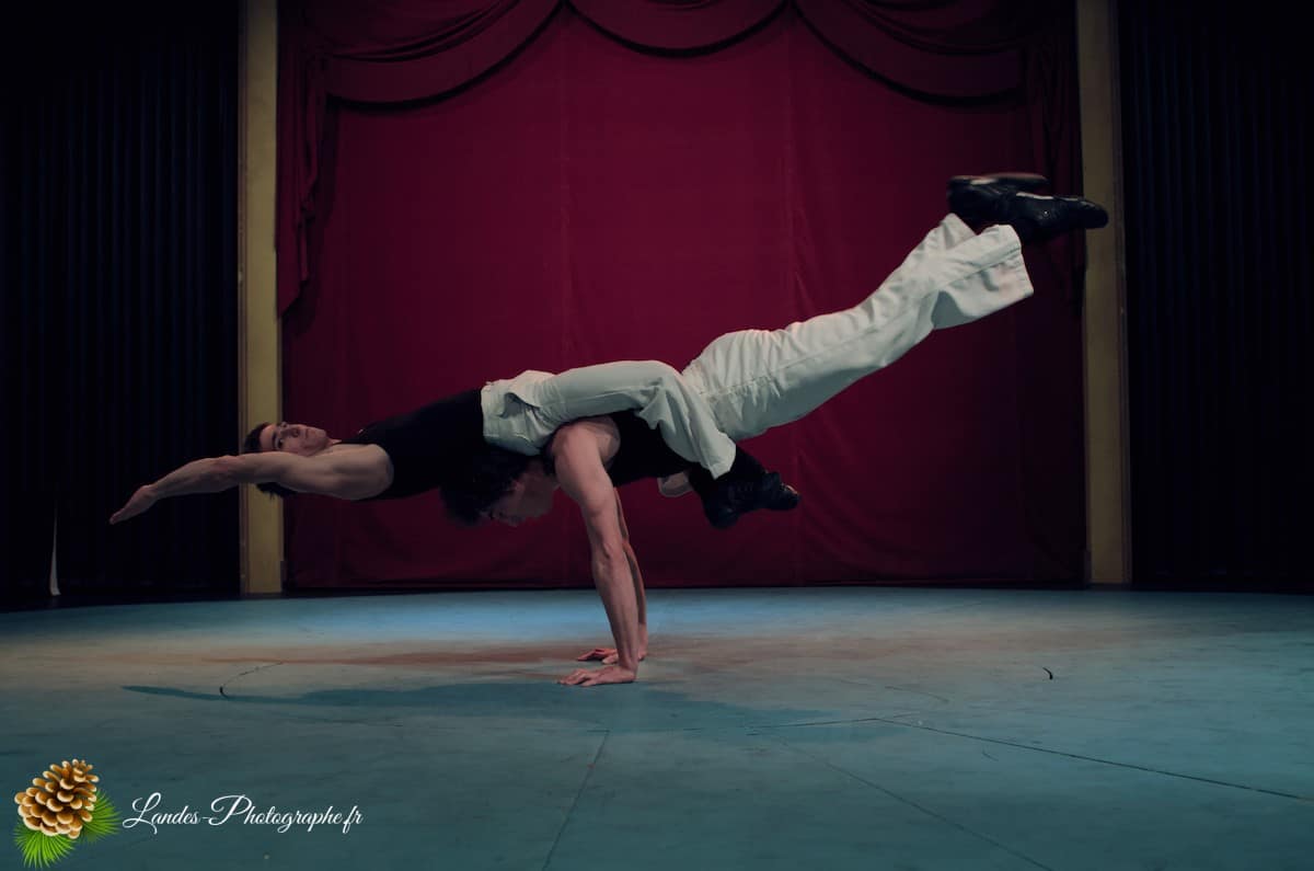 🎪 Les Arts du Cirque à Bordeaux : Le Palais Nibo et ses Pensionnaires Le Palais Nibo et ses pensionnaires