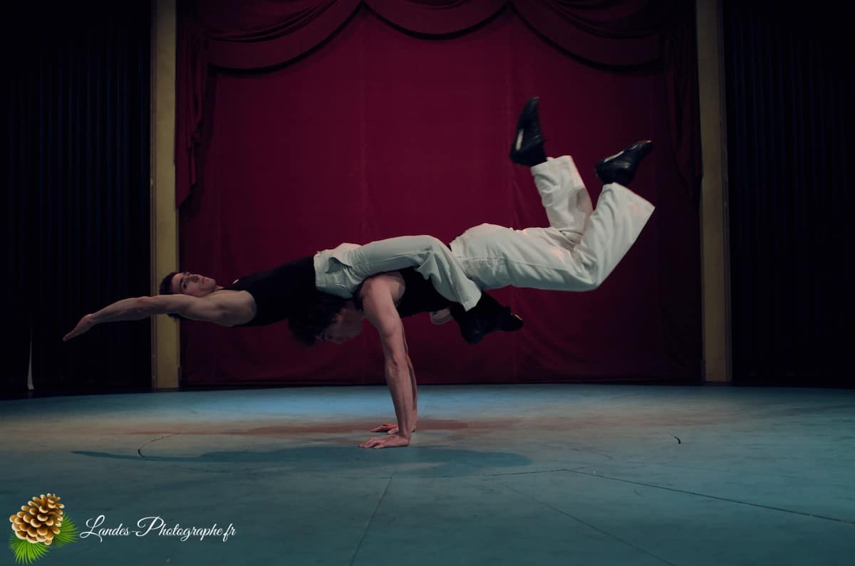 🎪 Les Arts du Cirque à Bordeaux : Le Palais Nibo et ses Pensionnaires Le Palais Nibo et ses pensionnaires