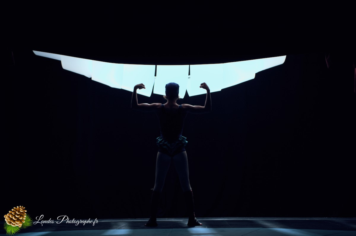 🎪 Les Arts du Cirque à Bordeaux : Le Palais Nibo et ses Pensionnaires Le Palais Nibo et ses pensionnaires