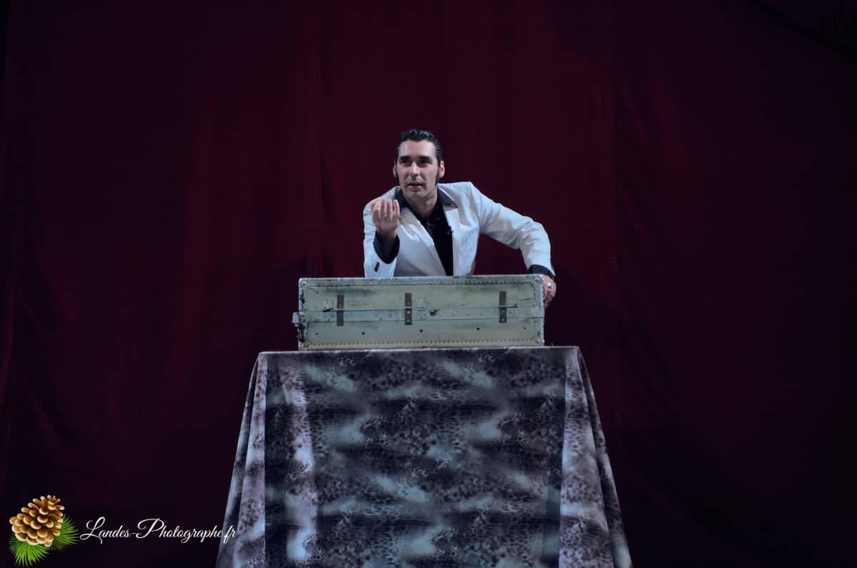 🎪 Les Arts du Cirque à Bordeaux : Le Palais Nibo et ses Pensionnaires Le Palais Nibo et ses pensionnaires