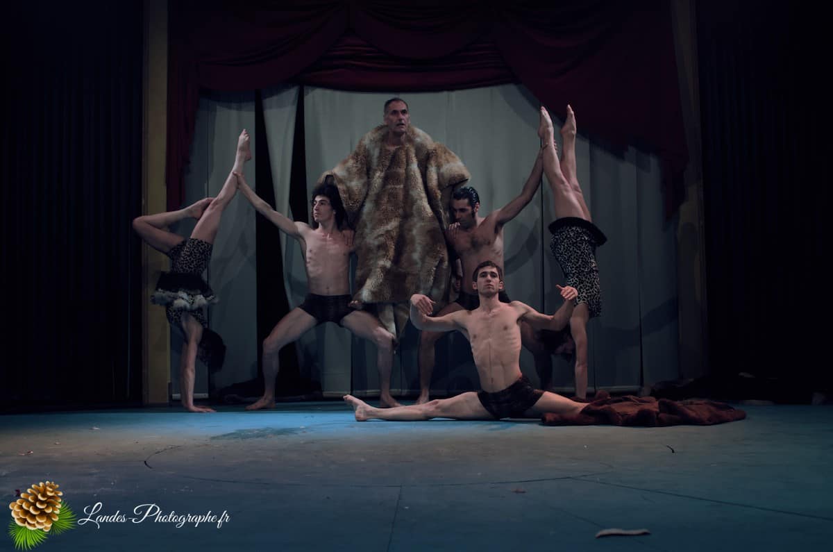 🎪 Les Arts du Cirque à Bordeaux : Le Palais Nibo et ses Pensionnaires Le Palais Nibo et ses pensionnaires