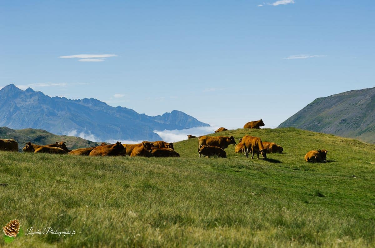đ L'Ăpique Silence de Troumouse : Grandeur UNESCO et Respect Montagnard Cirque de Troumouse
