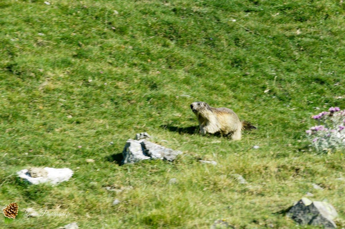 đ L'Ăpique Silence de Troumouse : Grandeur UNESCO et Respect Montagnard Cirque de Troumouse