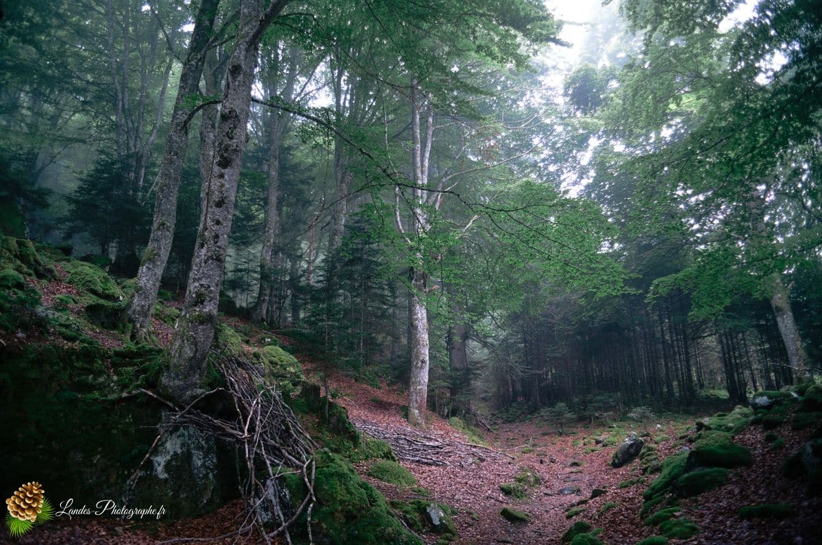 🌫️ Mystère Pyreneén : L'Ascension Inachevée vers le Lac Bleu Lac Bleu