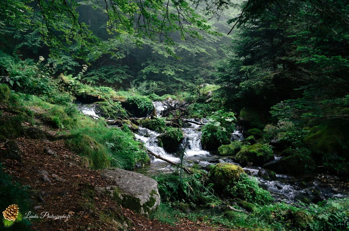 🌫️ Mystère Pyreneén : L'Ascension Inachevée vers le Lac Bleu Lac Bleu
