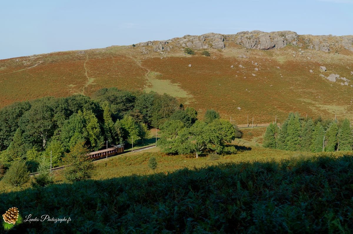 ⛰️ Immersion dans les Hauteurs : La Rhune La Rhune