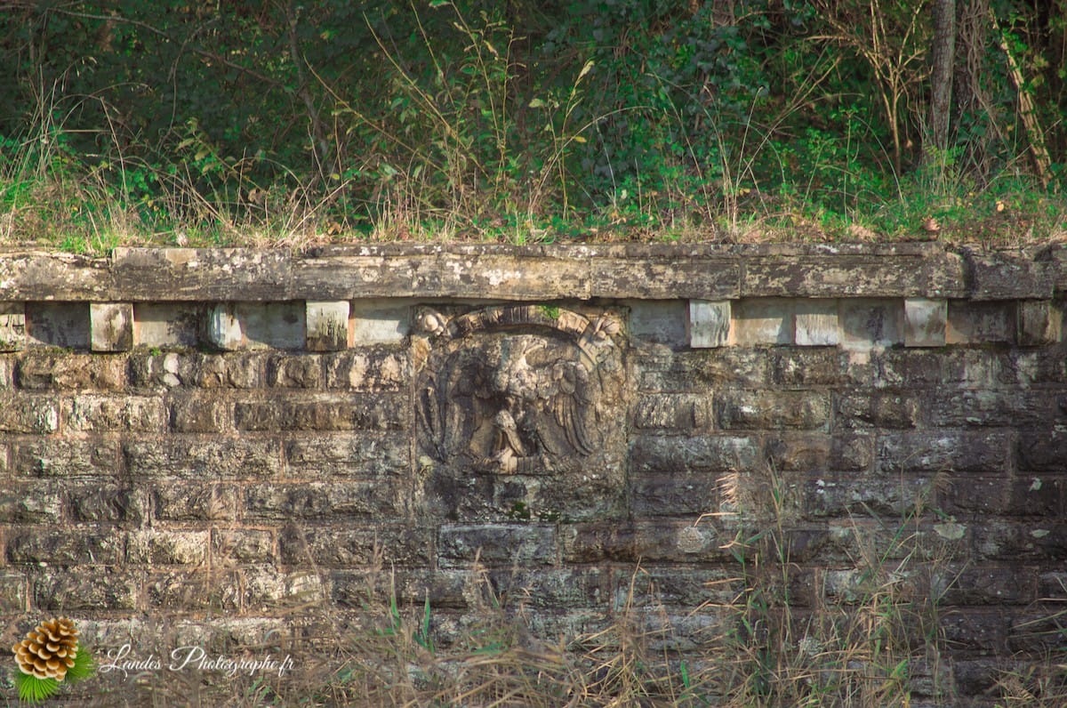 🦆 La Réserve Naturelle du Marais d'Orx : Le Trésor Humide du Sud des Landes Réserve Naturelle du Marais d
