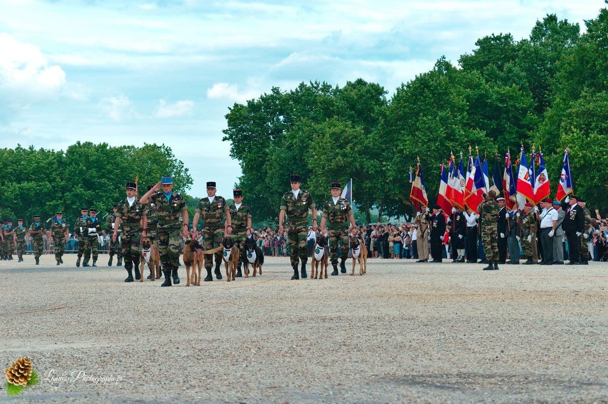 đ«đ· SolennitĂ© RĂ©publicaine : Reportage de la CĂ©rĂ©monie du 14 Juillet Ă Bordeaux CĂ©rĂ©monie du 14 Juillet Ă Bordeaux