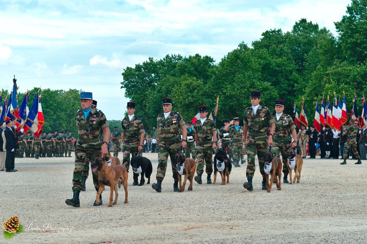 đ«đ· SolennitĂ© RĂ©publicaine : Reportage de la CĂ©rĂ©monie du 14 Juillet Ă Bordeaux CĂ©rĂ©monie du 14 Juillet Ă Bordeaux