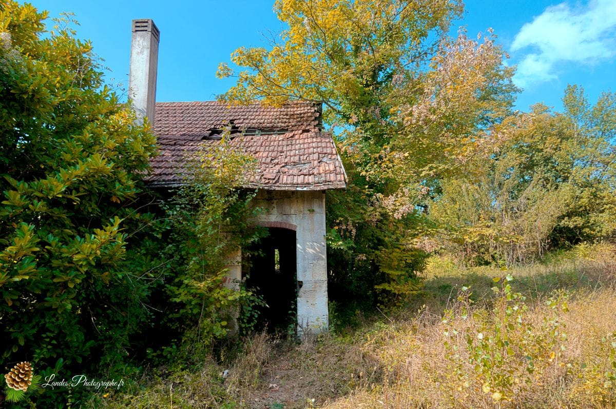 🏚️ L'Élégance Oubliée : la Chartreuse de Bel Sito Chartreuse de Bel Sito