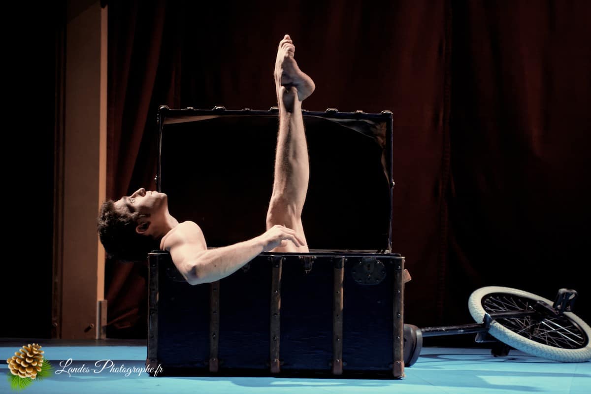 🎪 Les Arts du Cirque à Bordeaux : Le Palais Nibo et ses Pensionnaires Le Palais Nibo et ses pensionnaires