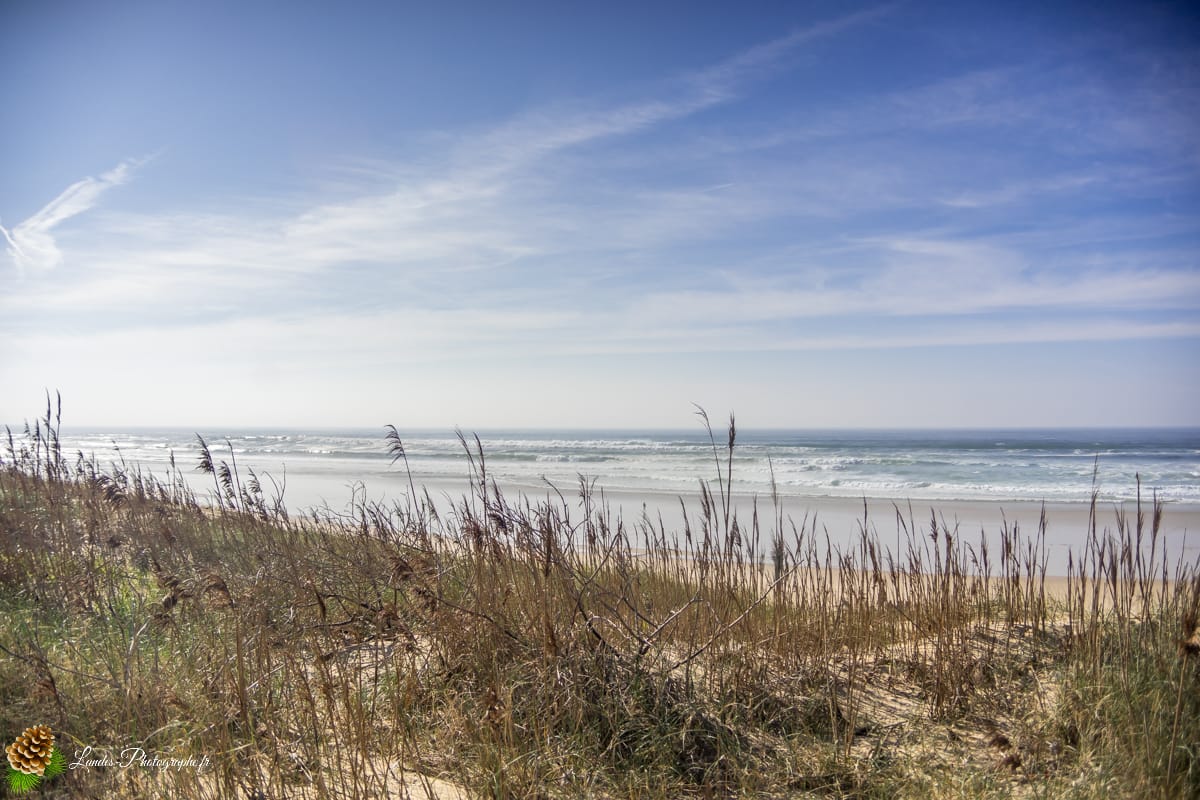 🏔️ Seignosse Le Penon : Quand l'Océan des Landes rencontre la Chaîne des Pyrénées Seignosse Le Penon