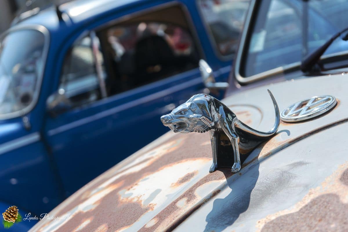 🚗 Le 34ème Cox Troc des Landes à Vieux-Boucau 34ème Cox Troc des Landes