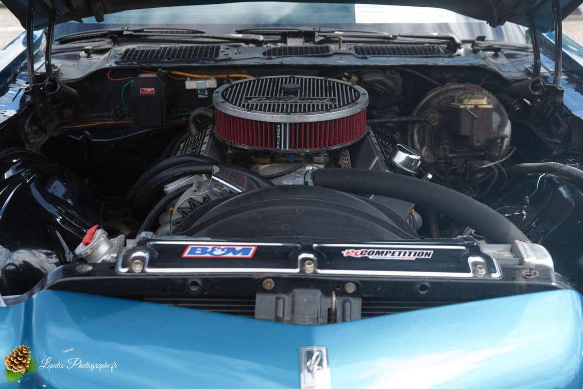 🇺🇸 8ème Édition de l'American Crazy Week à Seignosse 8ème édition American Crazy Week