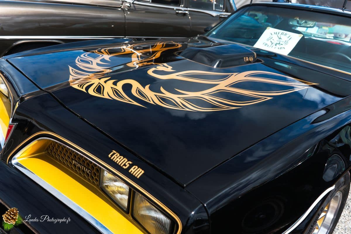 🇺🇸 8ème Édition de l'American Crazy Week à Seignosse 8ème édition American Crazy Week