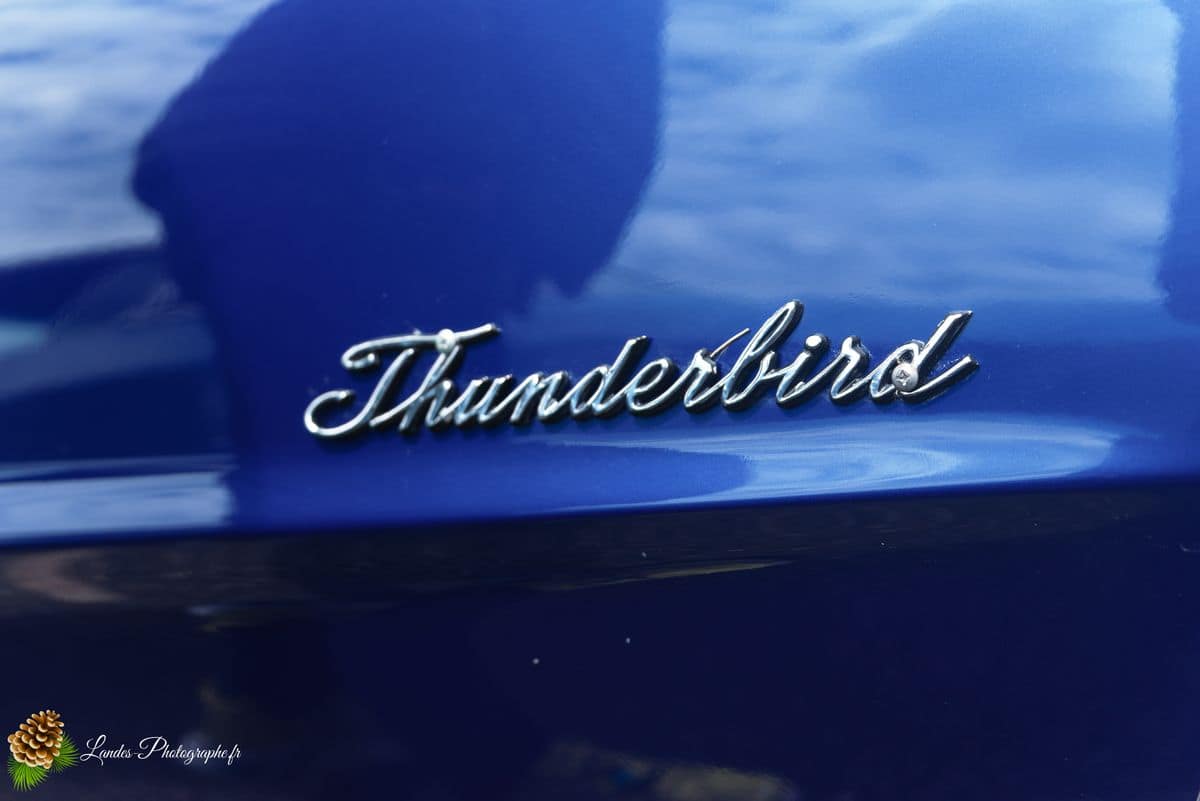 🇺🇸 8ème Édition de l'American Crazy Week à Seignosse 8ème édition American Crazy Week