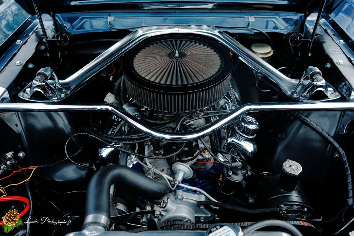 🇺🇸 8ème Édition de l'American Crazy Week à Seignosse 8ème édition American Crazy Week