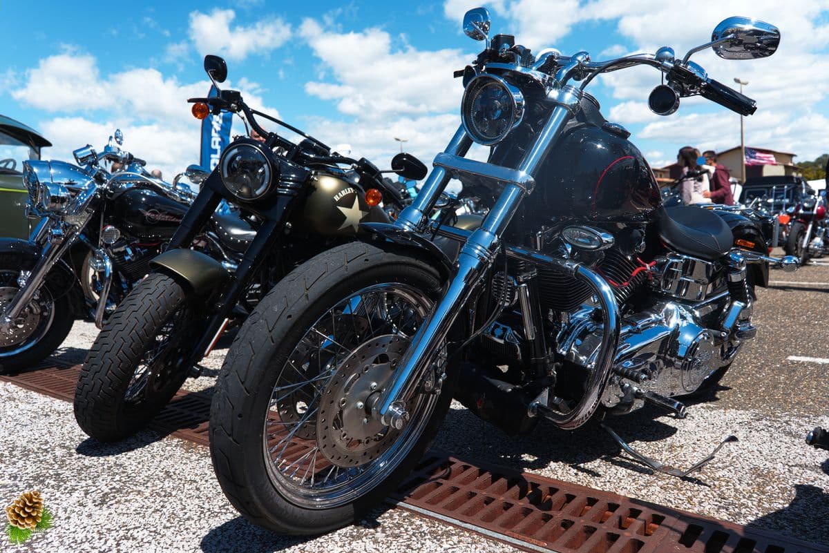 🇺🇸 8ème Édition de l'American Crazy Week à Seignosse 8ème édition American Crazy Week