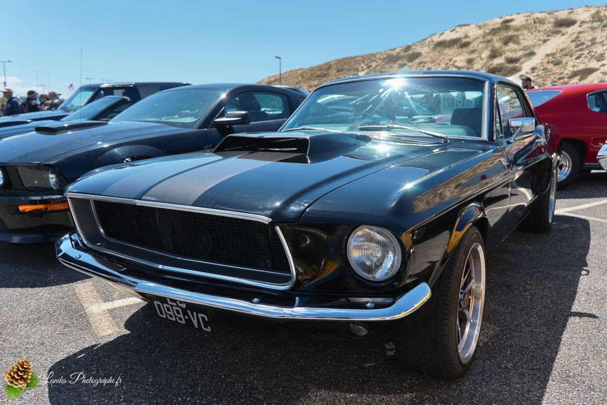 🇺🇸 8ème Édition de l'American Crazy Week à Seignosse 8ème édition American Crazy Week