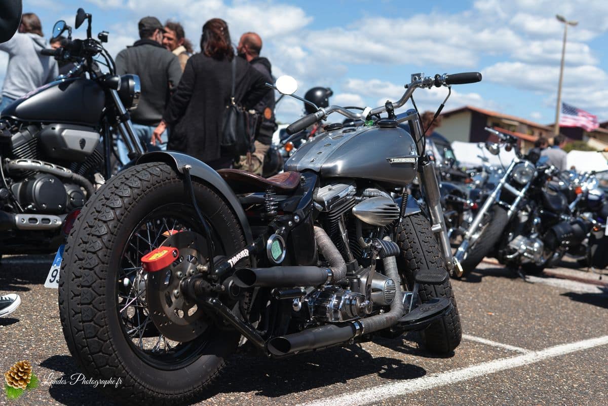 🇺🇸 8ème Édition de l'American Crazy Week à Seignosse 8ème édition American Crazy Week