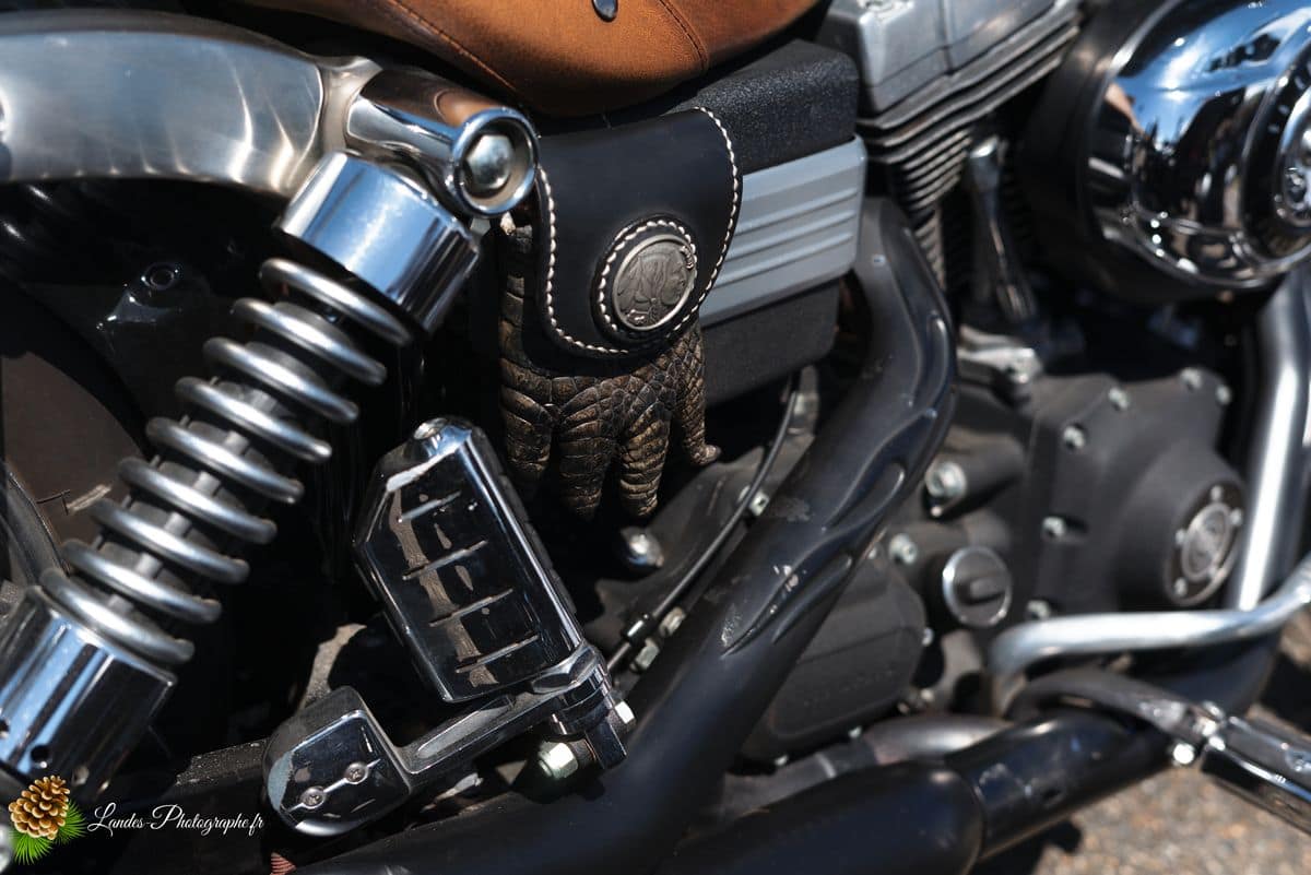 🇺🇸 8ème Édition de l'American Crazy Week à Seignosse 8ème édition American Crazy Week