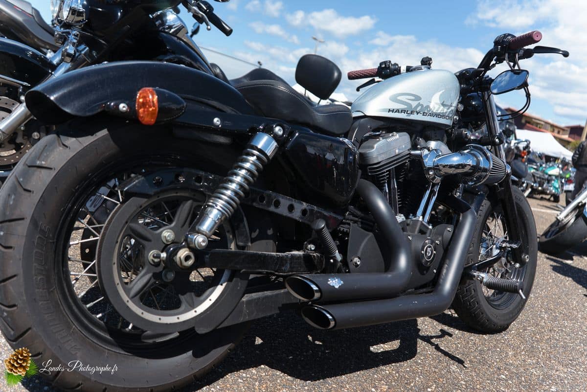 🇺🇸 8ème Édition de l'American Crazy Week à Seignosse 8ème édition American Crazy Week