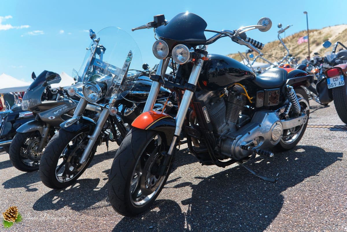 🇺🇸 8ème Édition de l'American Crazy Week à Seignosse 8ème édition American Crazy Week