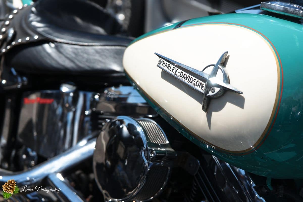 🇺🇸 8ème Édition de l'American Crazy Week à Seignosse 8ème édition American Crazy Week