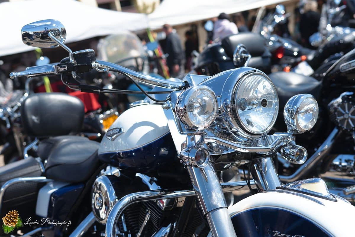 🇺🇸 8ème Édition de l'American Crazy Week à Seignosse 8ème édition American Crazy Week