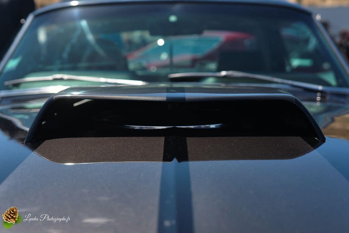 🇺🇸 8ème Édition de l'American Crazy Week à Seignosse 8ème édition American Crazy Week