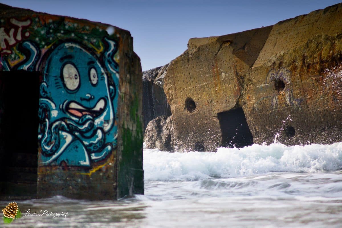 ⚓ Capbreton : Balade Atlantique, de l'Estacade à la Piste Capbreton