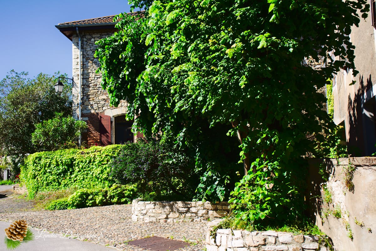 🏞️ Saubusse : Entre Adour et Barthes, le Charme d'une Station Thermale Landaise Saubusse