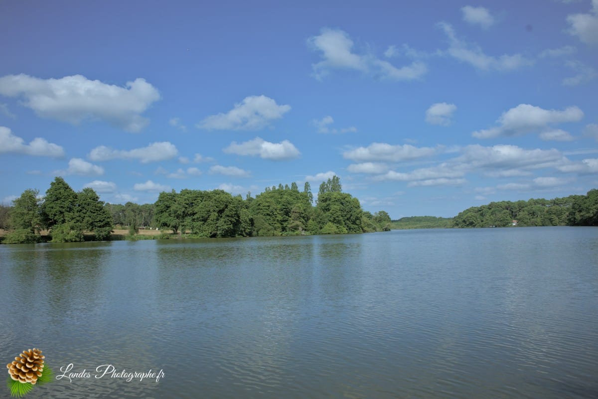 🌲 Au Cœur des Landes : la Réserve Naturelle de l’Étang Noir La Réserve Naturelle de l’Étang Noir à Seignosse
