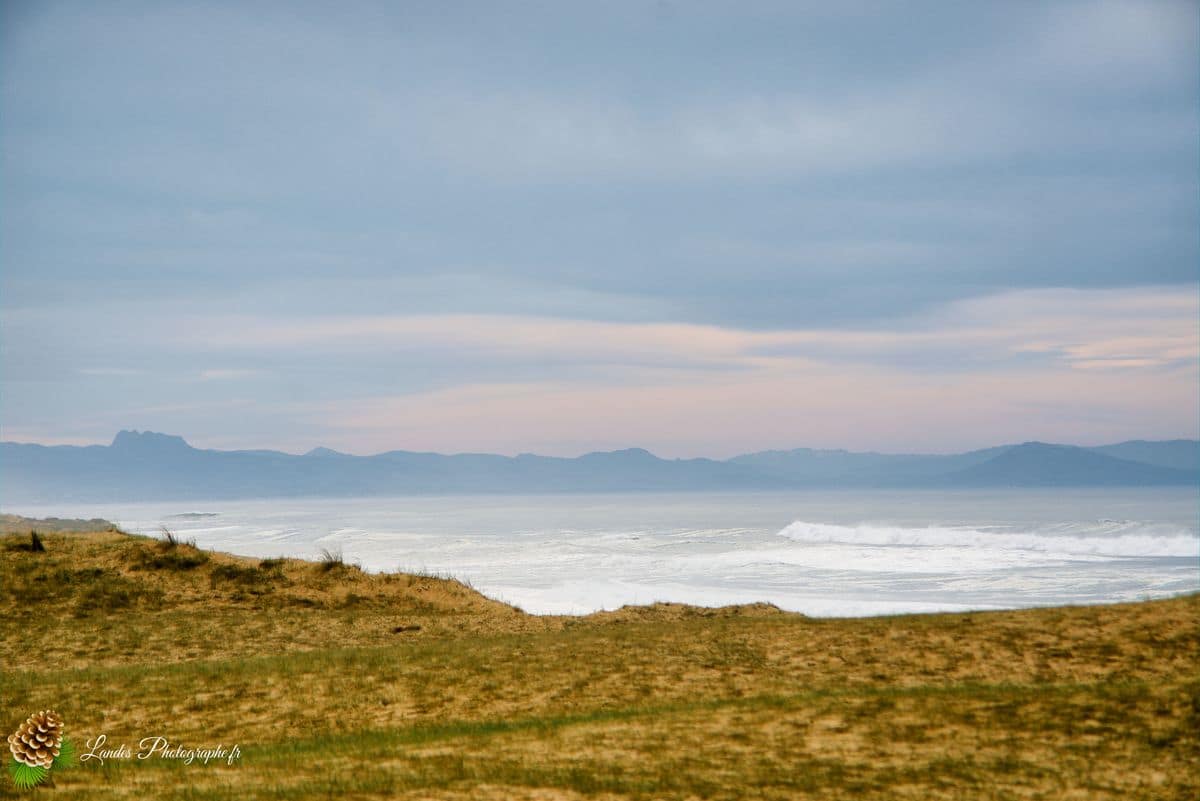 đ Labenne OcĂ©an : L'Immersion sur la CĂŽte Sud des Landes Labenne OcĂ©an