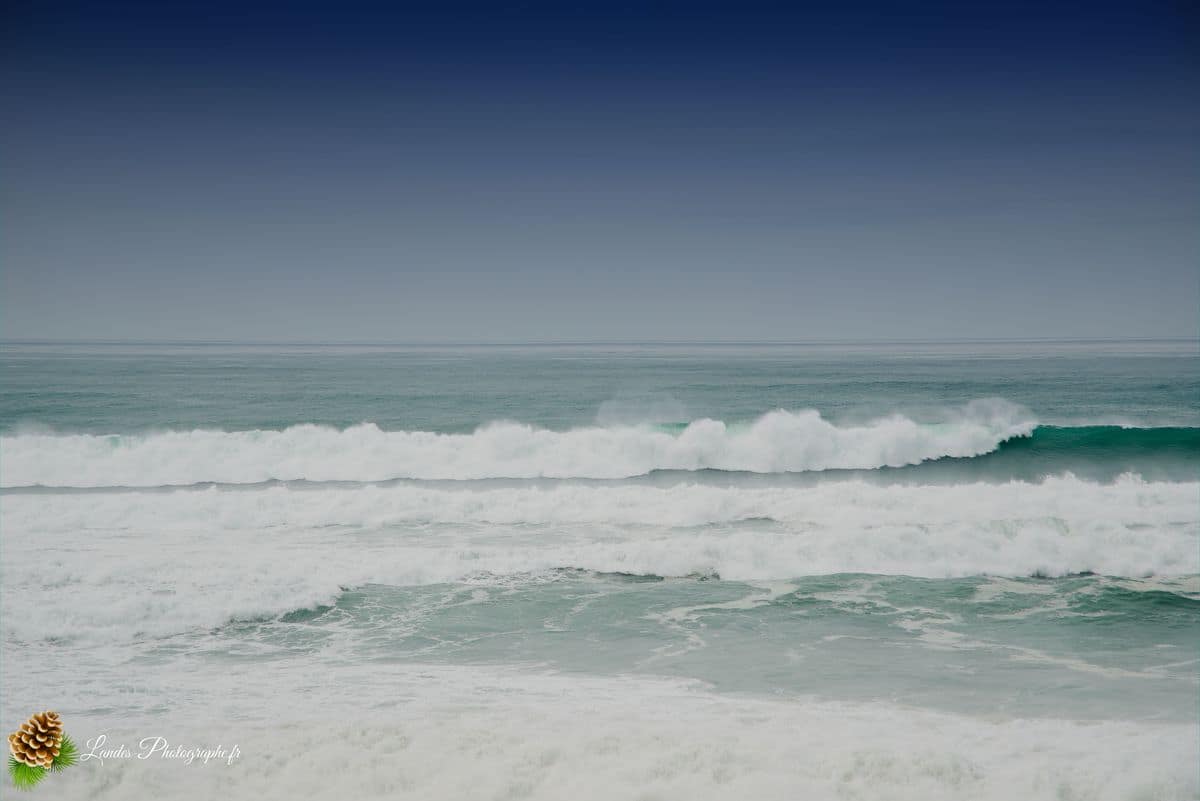 đ Labenne OcĂ©an : L'Immersion sur la CĂŽte Sud des Landes Labenne OcĂ©an