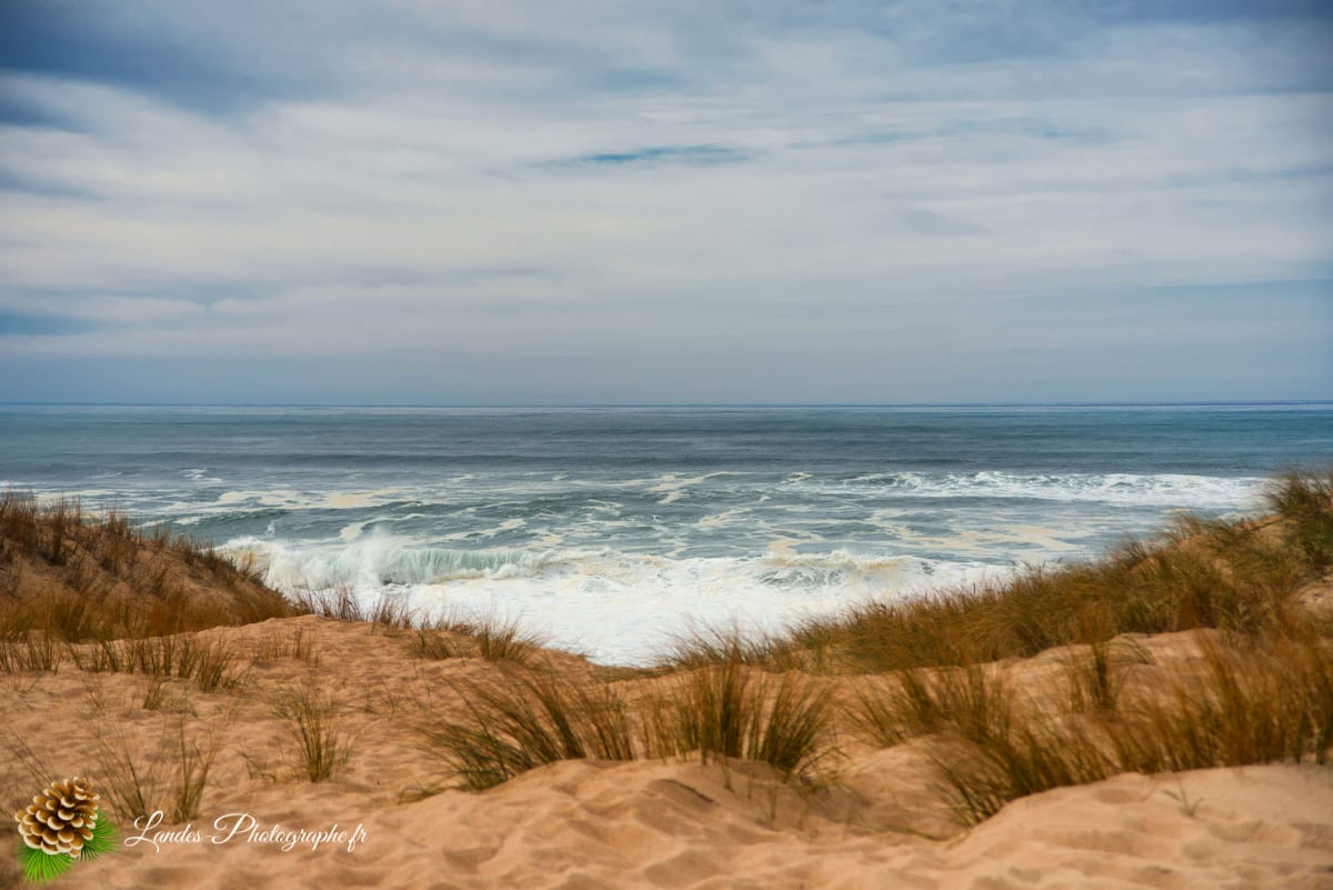 đ Labenne OcĂ©an : L'Immersion sur la CĂŽte Sud des Landes Labenne OcĂ©an
